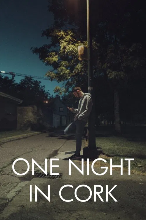 One Night in Cork movie poster