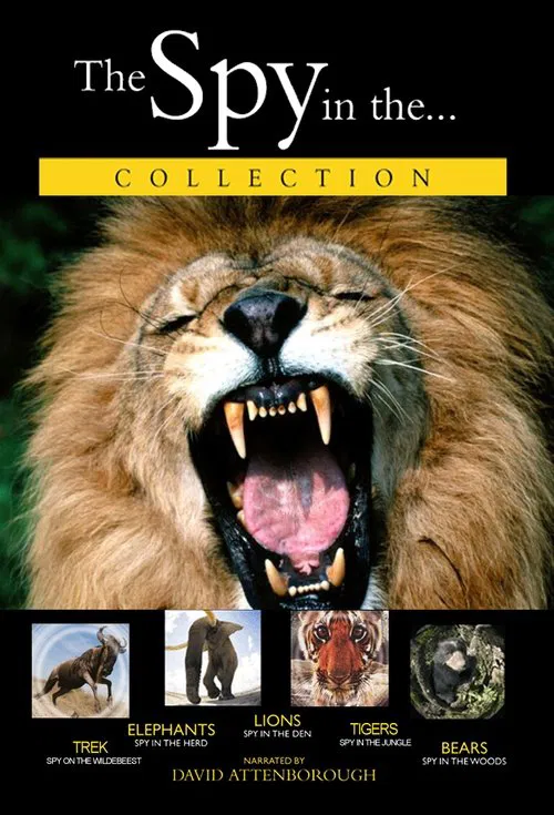 Lions: Spy in the Den movie poster