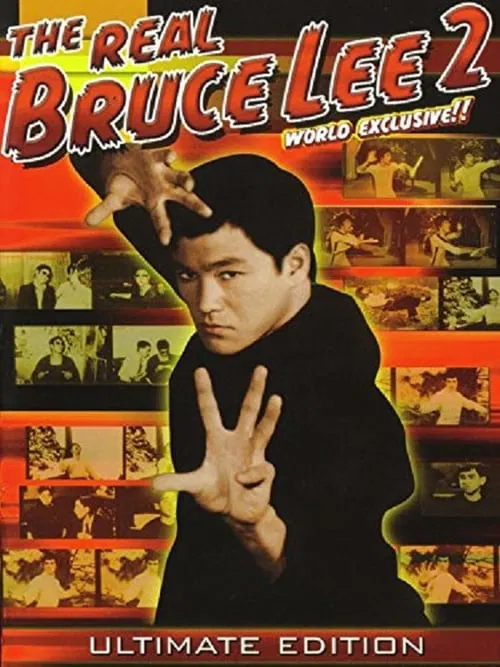 The Real Bruce Lee  2 movie poster