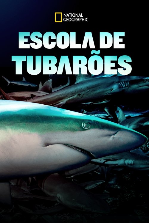 Poster do filme Escola de Tubarões