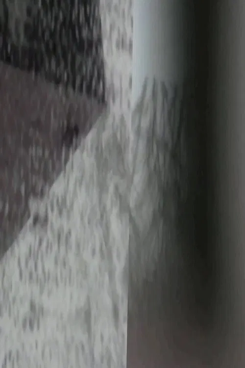 Snows of Reduction movie poster