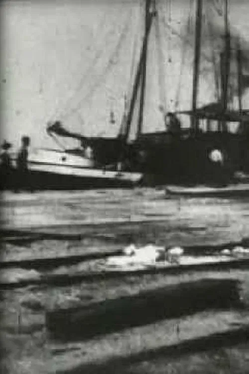 Bird's-Eye View of Dock Front, Galveston movie poster