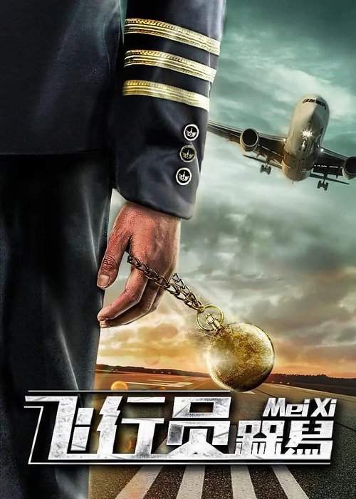 DaiDai Bird movie poster