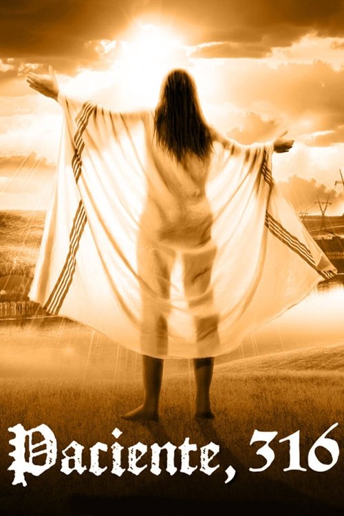 Poster do filme Paciente, 316
