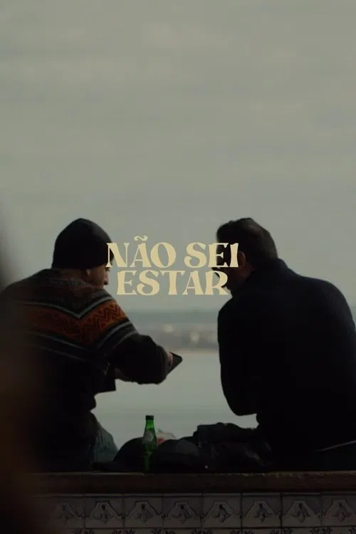 Não Sei Estar tv show poster