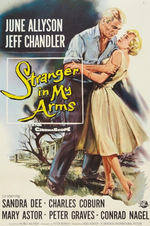 A Stranger in My Arms movie poster