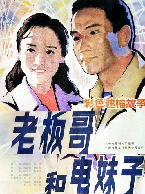 Brother Boss and Sister Electrician movie poster