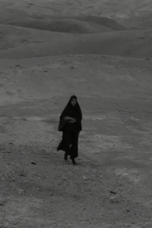 The Visitor movie poster