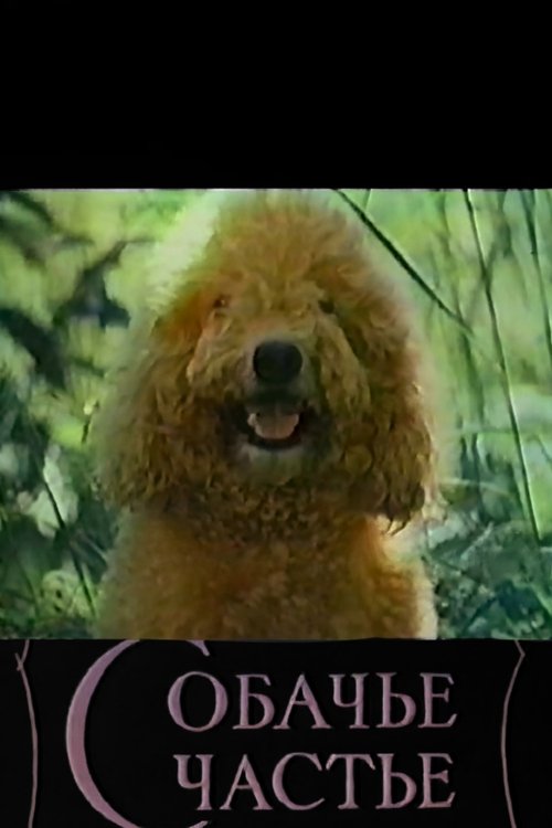 Dog's Happiness movie poster