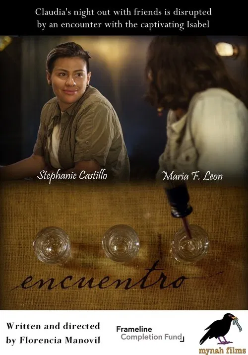 Encuentro movie poster
