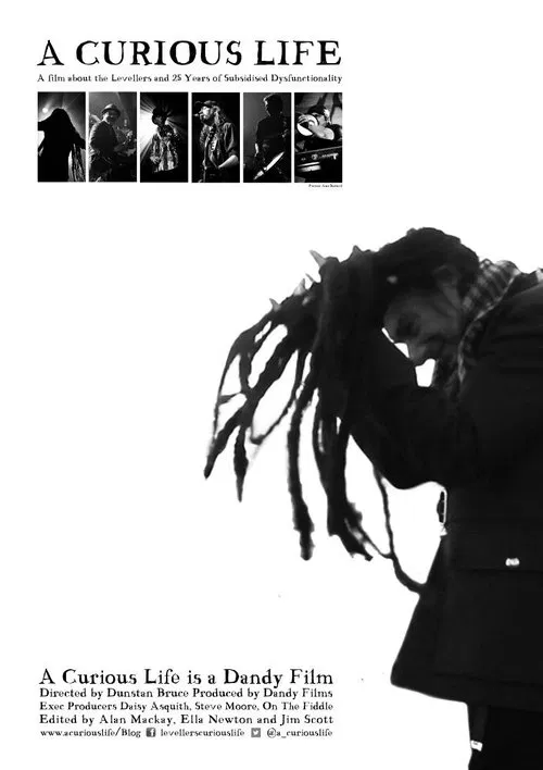 A Curious Life movie poster