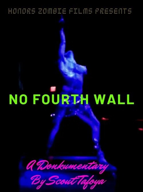 No fourth wall movie poster