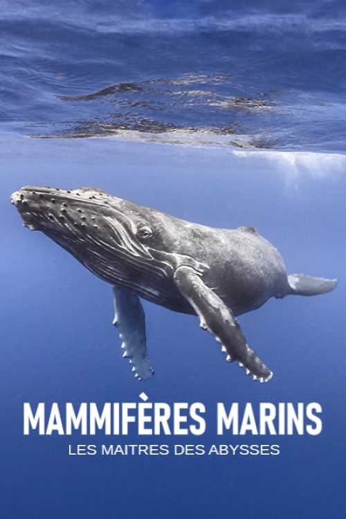 Mammifères marins - les maîtres des abysses movie poster