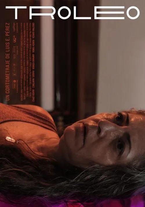 Poster do filme Troleig