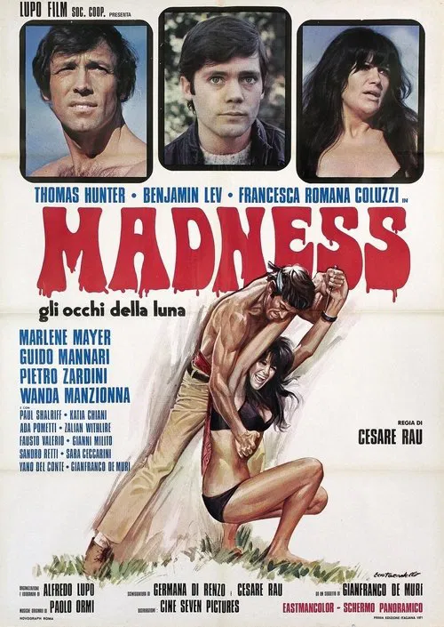 Madness movie poster