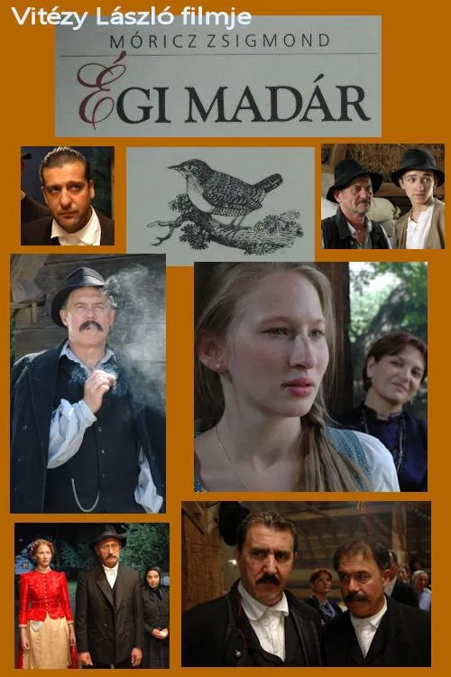 Égi madár movie poster