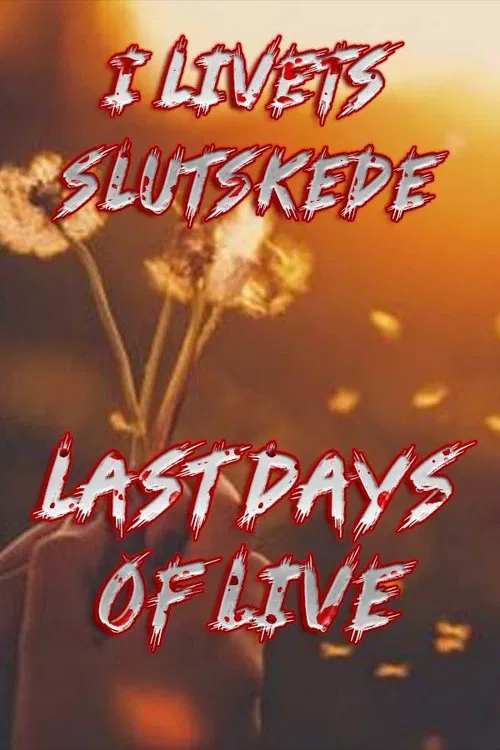 Last Days of Life movie poster