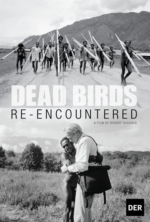 Dead Birds Re-Encountered movie poster