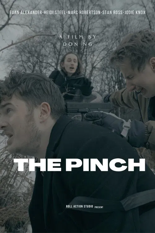 Poster do filme The Pinch