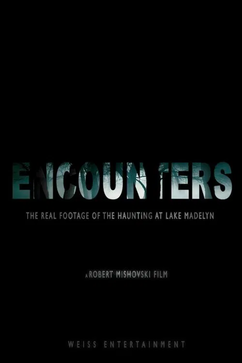 Poster do filme Encounters