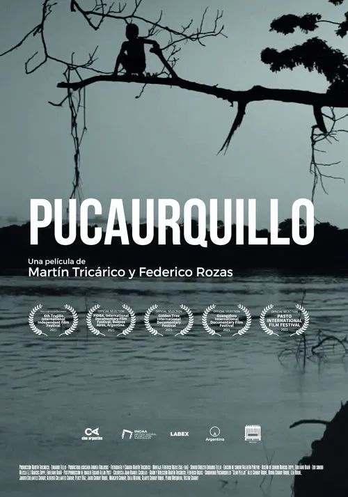 Pucaurquillo movie poster