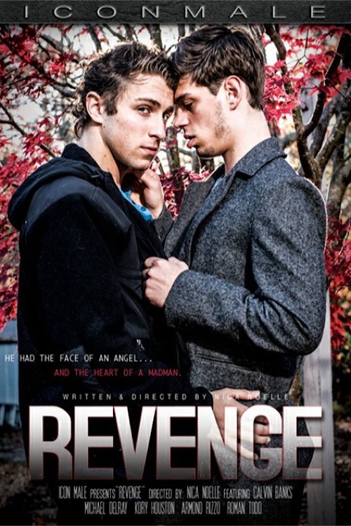 Revenge movie poster