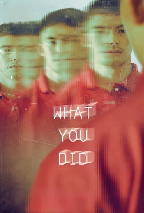 What You Did movie poster