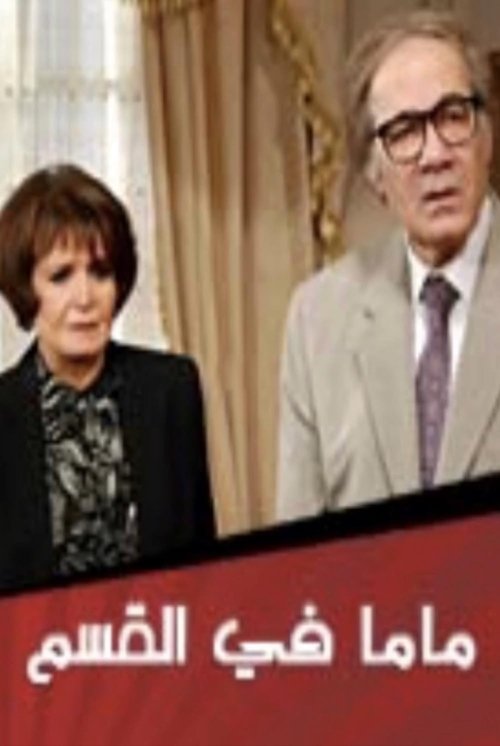 Mom at the Police Station tv show poster