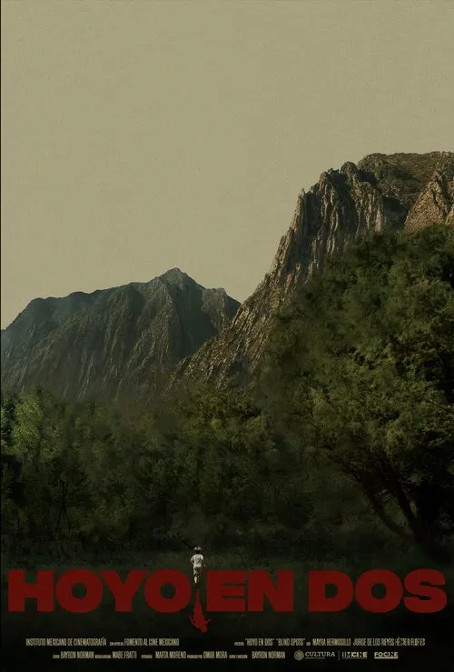 Hoyo en dos movie poster