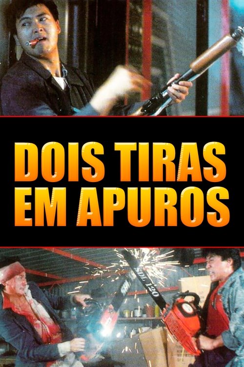 Poster do filme Dois Tiras em Apuros