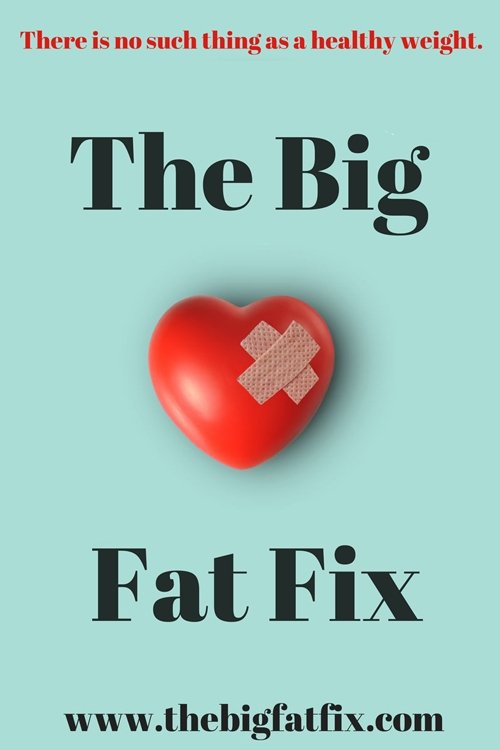 The Big Fat Fix movie poster