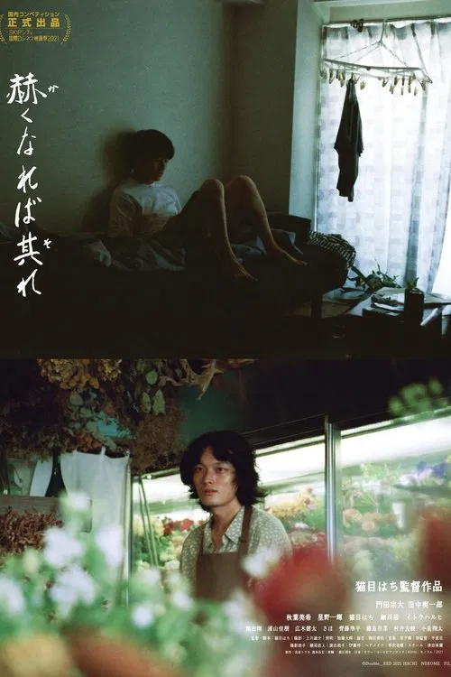 Poster do filme Double Red