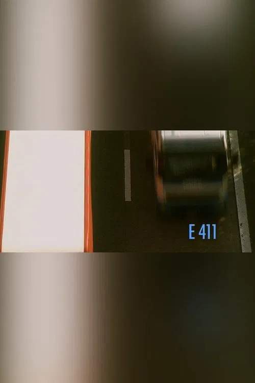 E411 movie poster