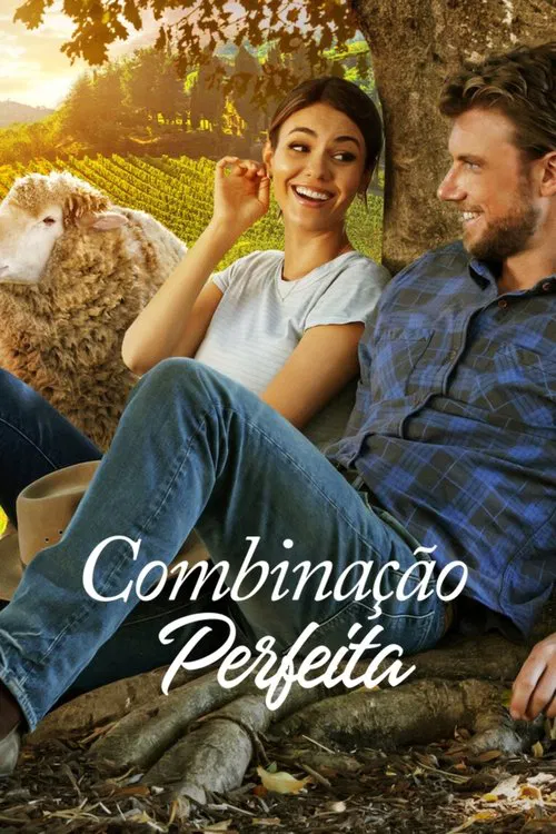 Poster do filme Combinação Perfeita
