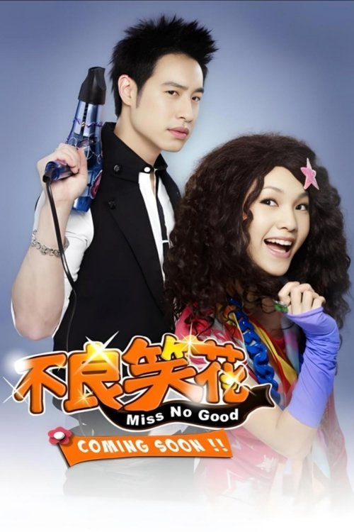 Poster da série 不良笑花