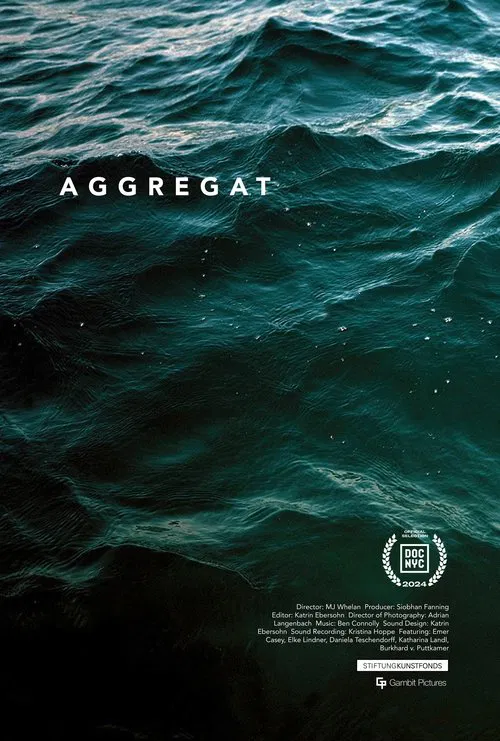 Aggregat movie poster