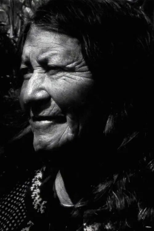 Manu: A Visual Album movie poster