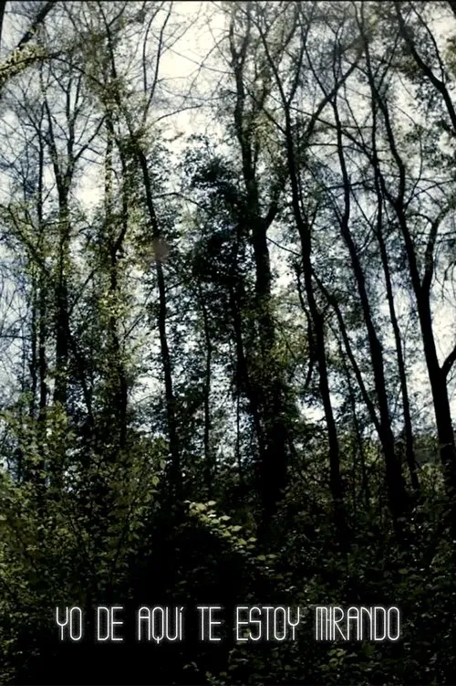 I'm Always Looking from Here movie poster