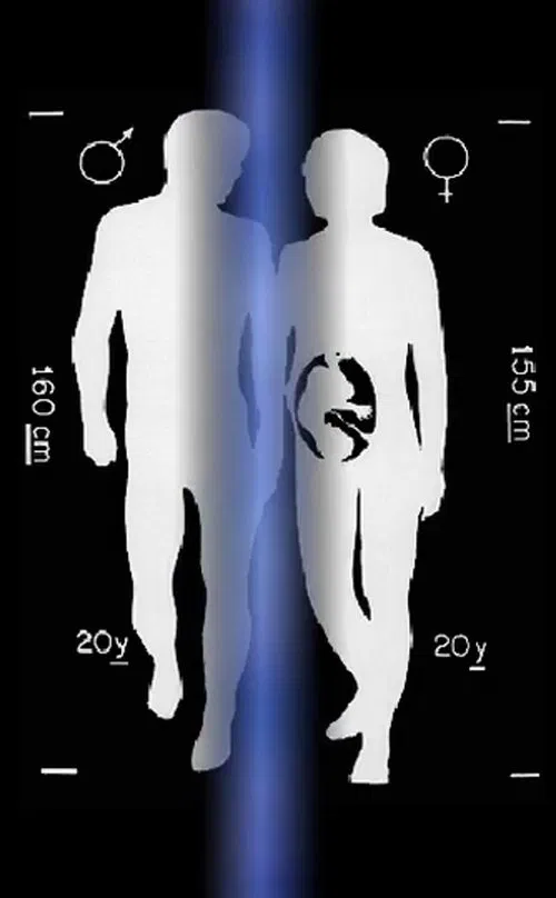 Zuse Strip movie poster