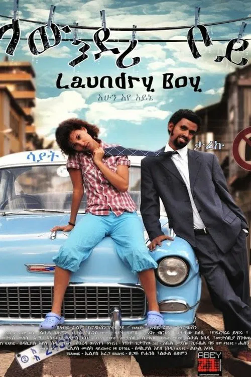 Laundry Boy movie poster