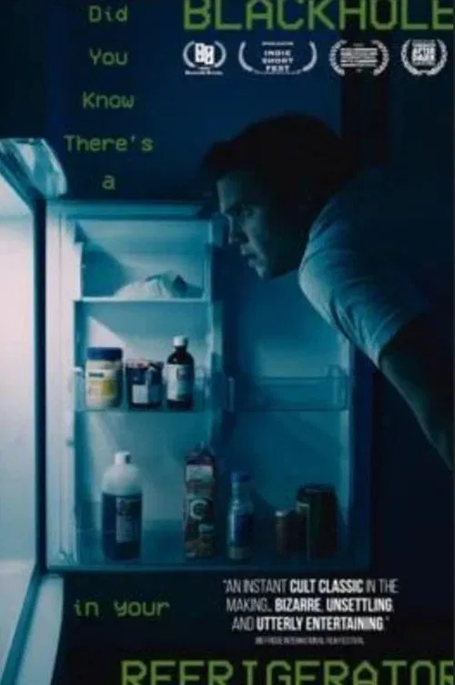 Did You Know There's a Black Hole in Your Refrigerator movie poster