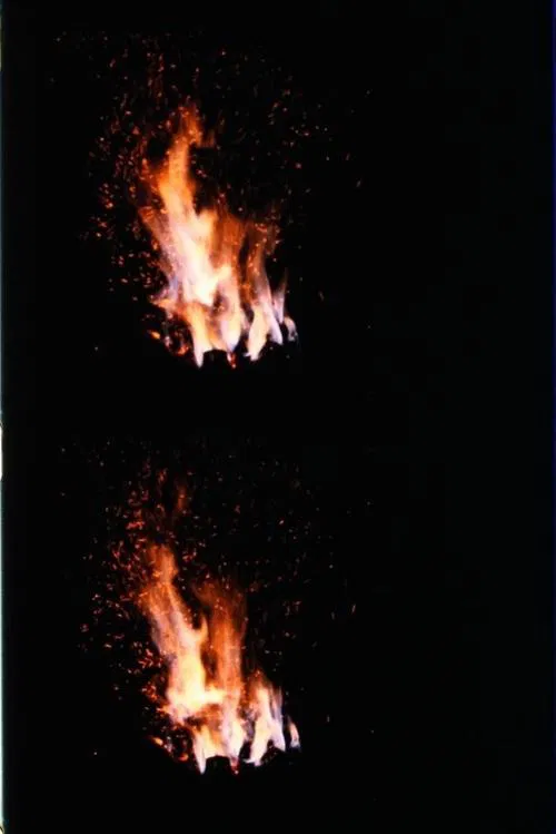 Fire movie poster
