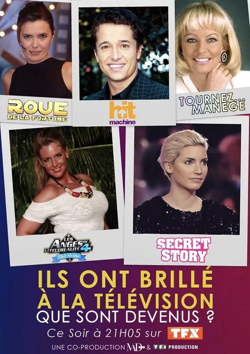 Ils ont brillé à la télé : que sont-ils devenus ? movie poster