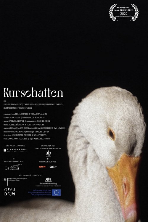 Kurschatten movie poster