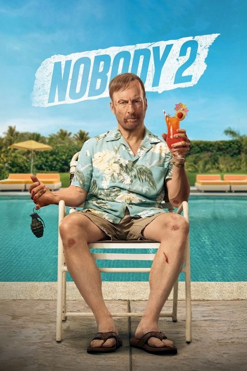 Nobody 2 movie poster