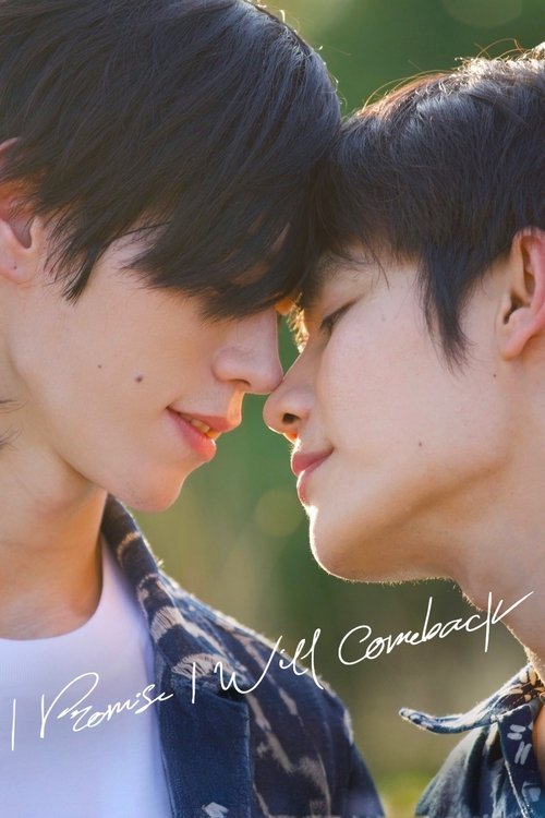 I Promise I Will Come Back tv show poster