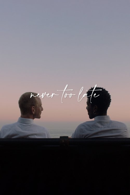 Never Too Late movie poster
