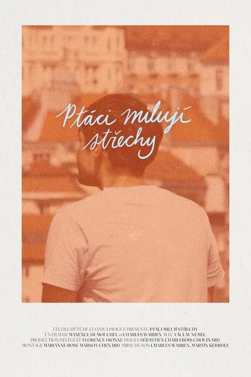 Of Birds and Roofs movie poster