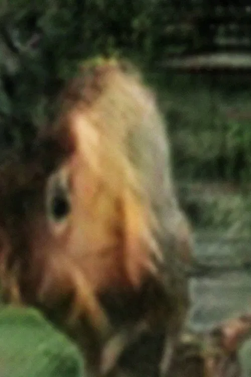 Untitled 2 (Kiss me.) movie poster