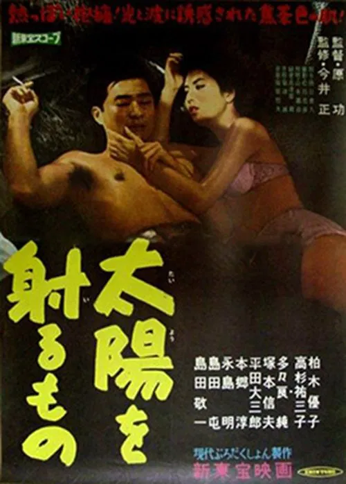 Taiyō o iru mono movie poster